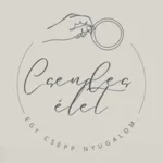 Csendes élet